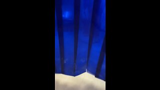 Plank makin a hand out there ol son