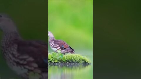 تبارك الرحمن