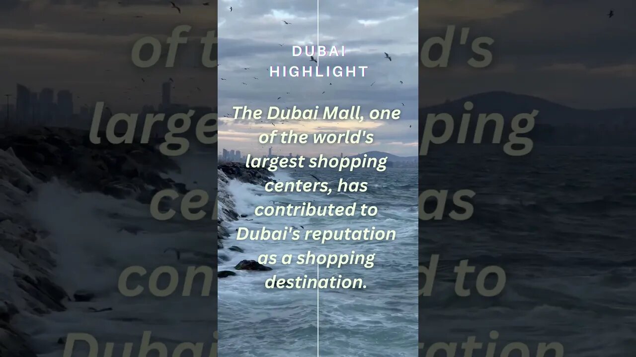 Dubai Highlights 12 #dubai #dubaihighlights #2023 #dubaihistory #viral