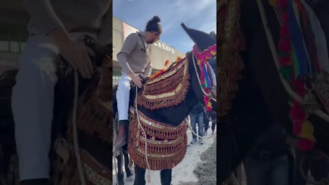 Riding Donkeys at Fiera Cavalli Verona