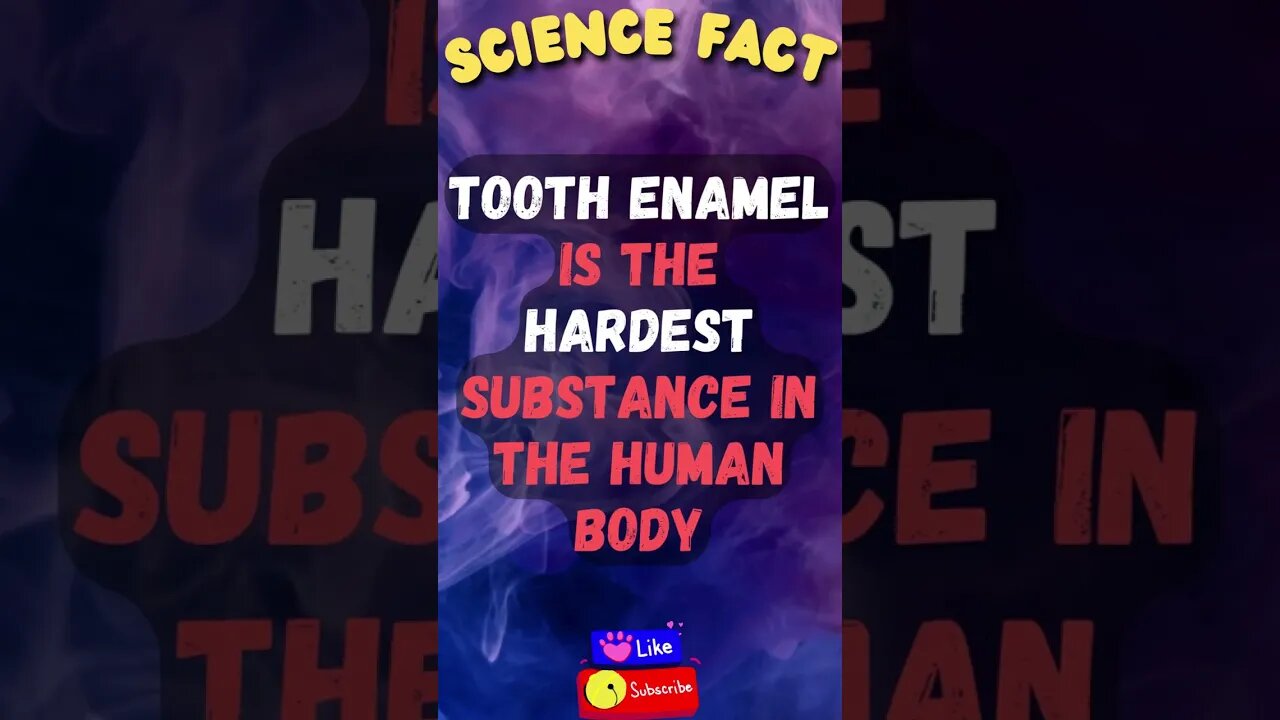 🔬Amazing Science Facts! 👀 #shorts #shortsfact #science #sciencefacts #scientificfact #toothfacts