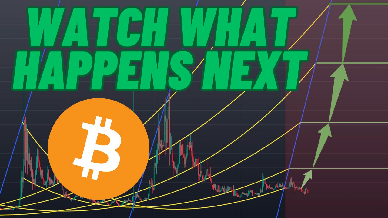 BITCOIN, XRP, XLM, UPDATE. NVIDIA EARNINGS, AI CRYPTOS, PIPPEN MET SATOSHI?