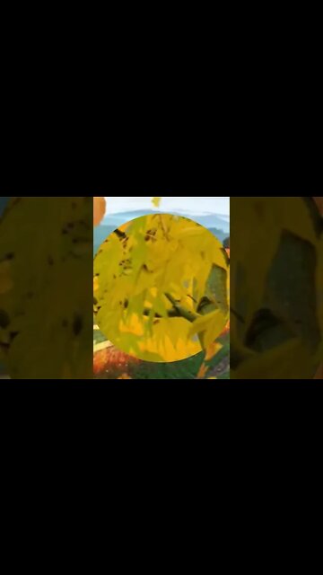 RELAXING MUSIC/DEEP SLEEP MUSIC/autumn ambience music #shorts