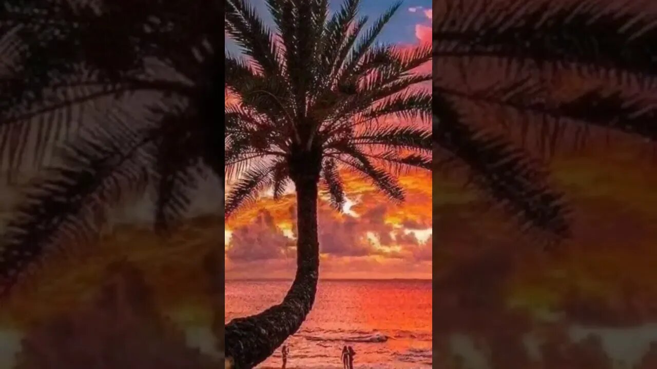 NFT Art 🎨 ✨️ 😍 💖 👌 💕 AI.