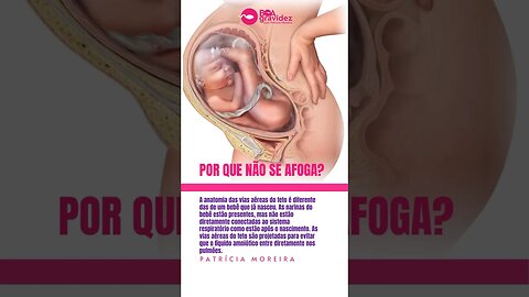 Por que o bebê não se afoga dentro da barriga?