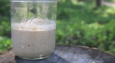 SD01 Starting a Starter | Sourdough eCourse Lesson 1