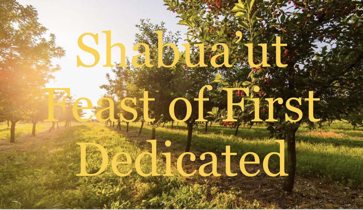 The Feast of First Fruits (Shabua'ut)