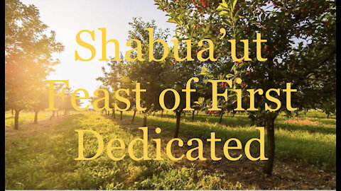 The Feast of First Fruits (Shabua'ut)