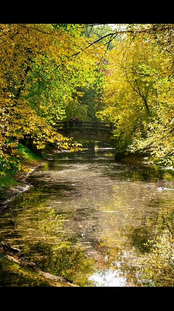 The first glimmers of autumn🍂