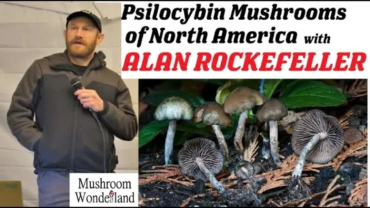 Psilocybe Mushrooms of North America- Alan Rockefeller at CFS2022