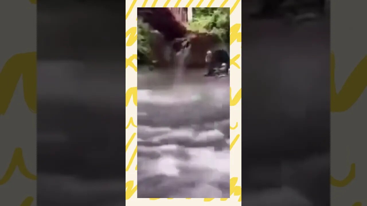 bawa sini tawamu 36 #shorts #viral