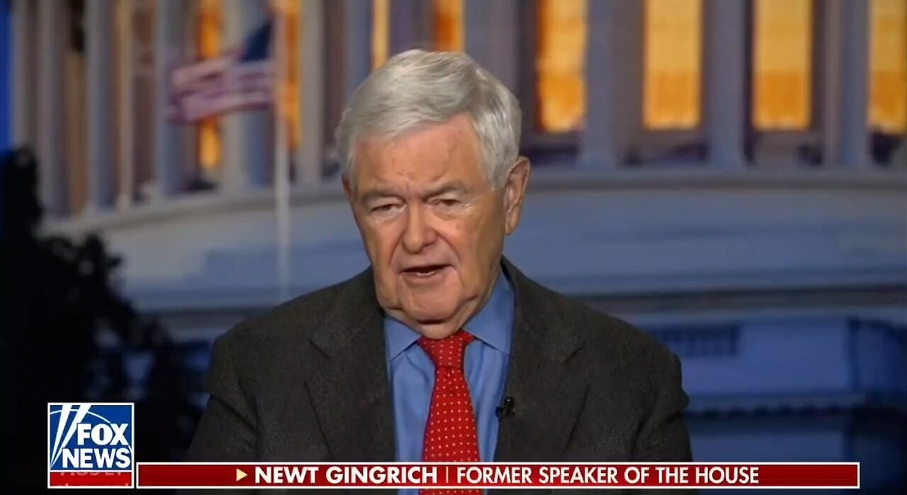 Newt Gingrich: Senate Border Bill Is Suicidally Stupid