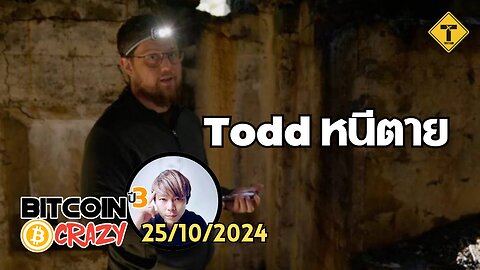 BitcoinCrazy 25/10/2024 : Todd หนีตาย
