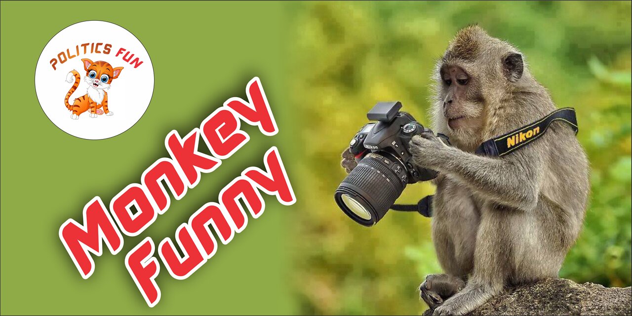 stealing from the monkey، Monkey theft, very loving and naait good video