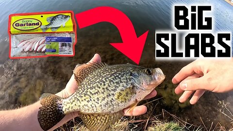 Must Have Bait to Catch BIG! Crappie Get This Bait NOW! #crappie #fishing #outdoors