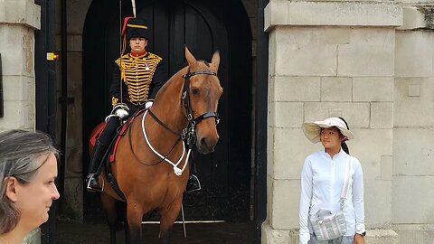 Horse gets ready to strike #horseguardsparade