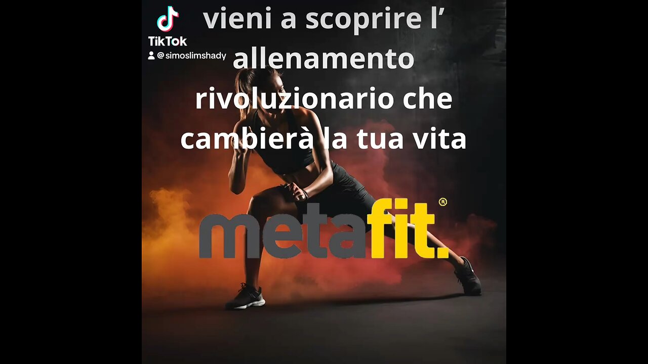 metafiproject