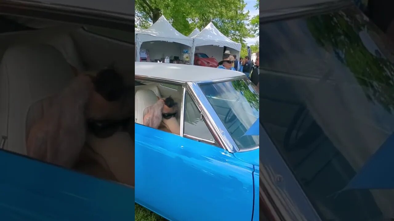 1970 Plymouth Superbird at the Greenwich Concours d'Elegance 2023