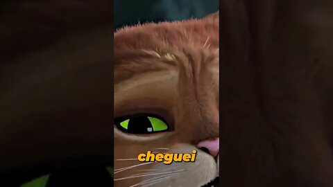Vai ver uma vida só é o suficiente