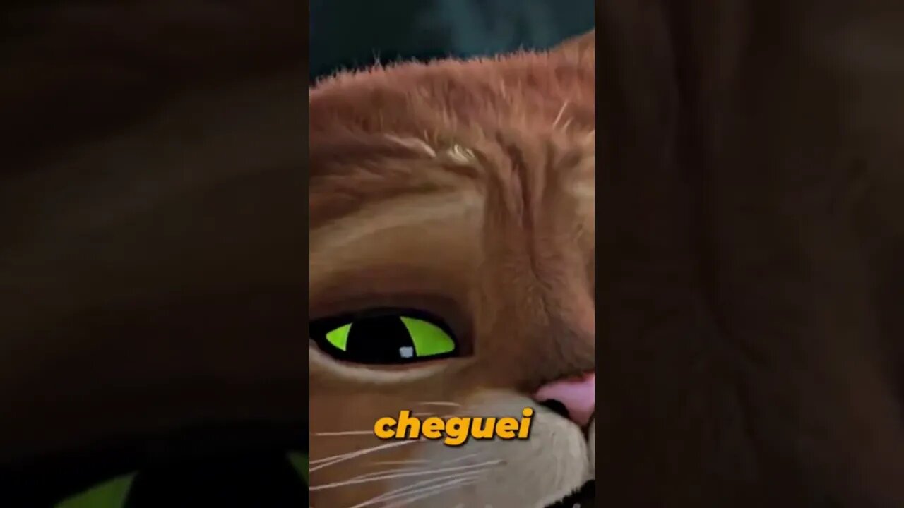 Vai ver uma vida só é o suficiente