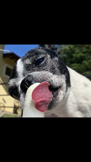 I scream, you scream, we all scream for ice cream