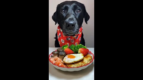 dog ASMR 😱