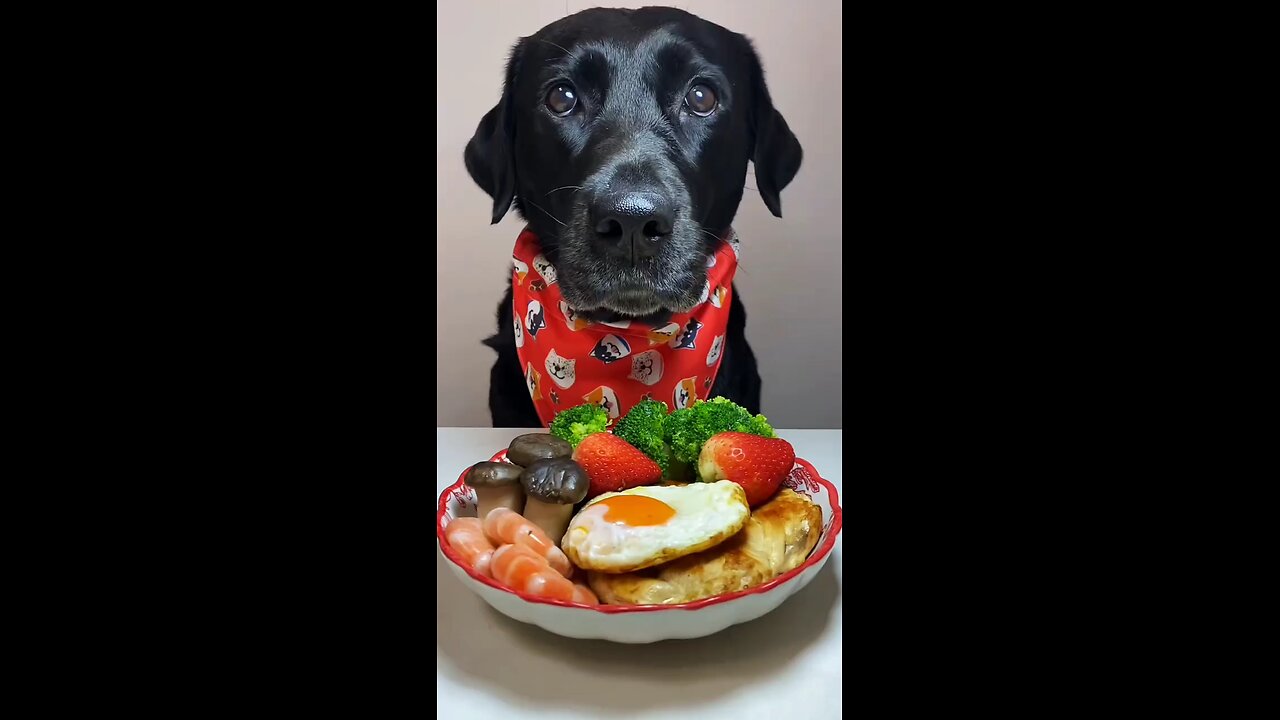 dog ASMR 😱