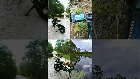 A day in the #glades #fla #fl #mtb #emtb #ebike #adventure #explore #getoutside #getoutandride