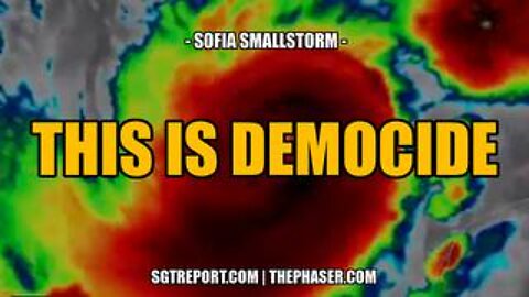 This Is Democide -- Sofia Smallstorm