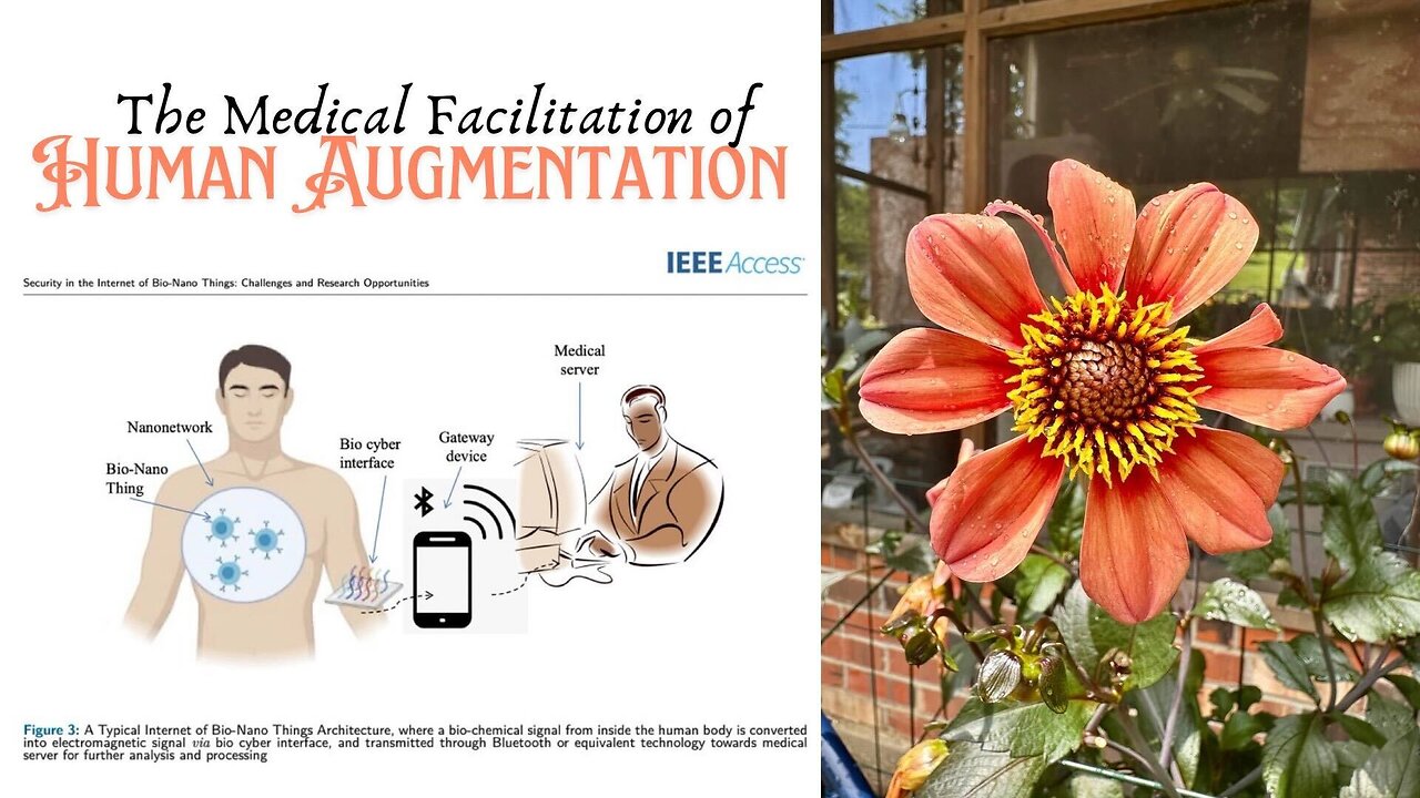 Medical Facilitation of Human Augmentation 3/4