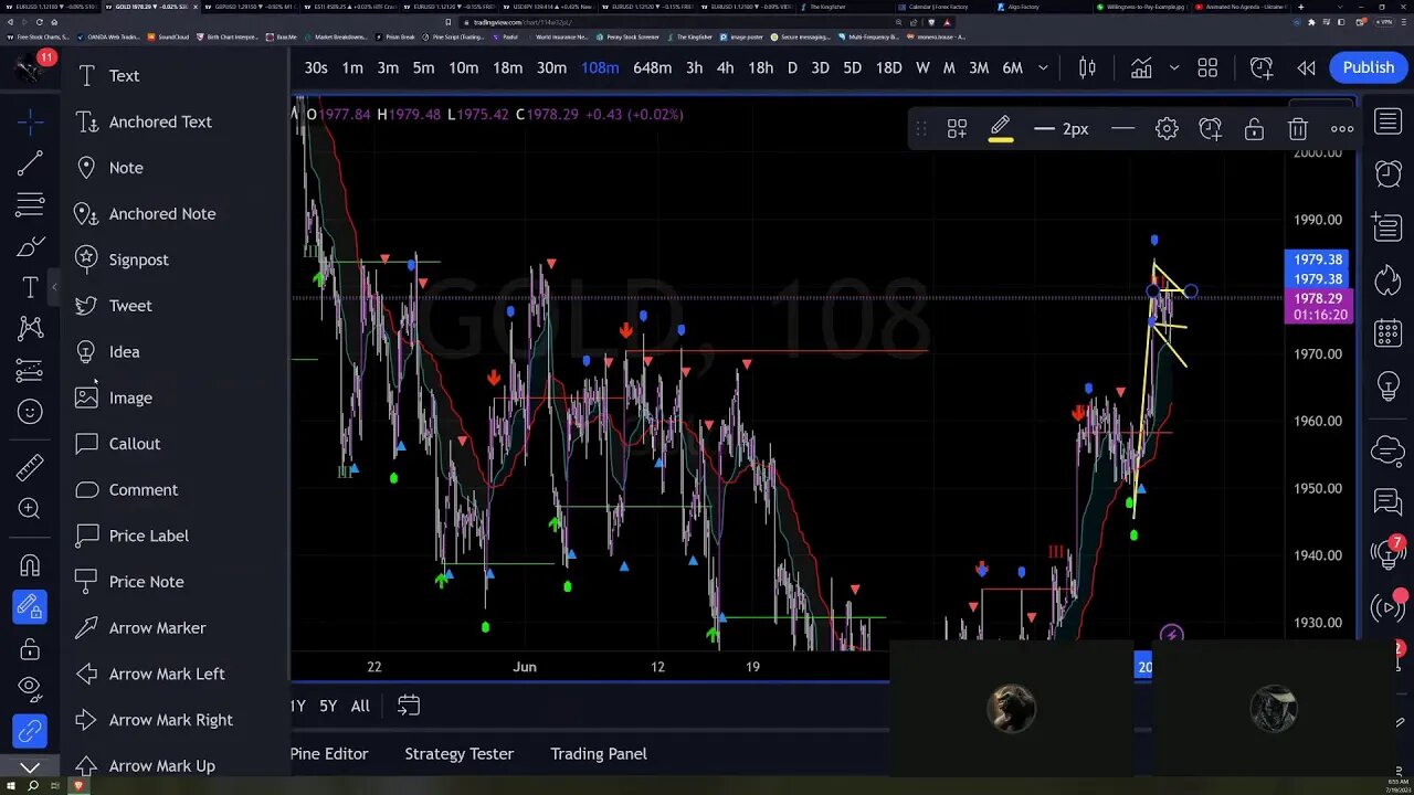 Daily Live Lab for Beginner Traders