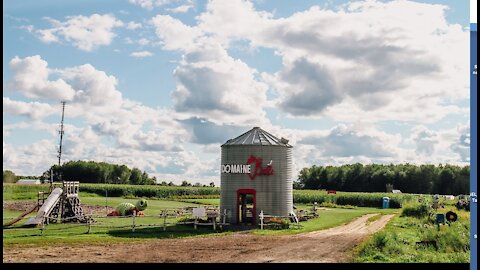Domaine La Belle tournesol