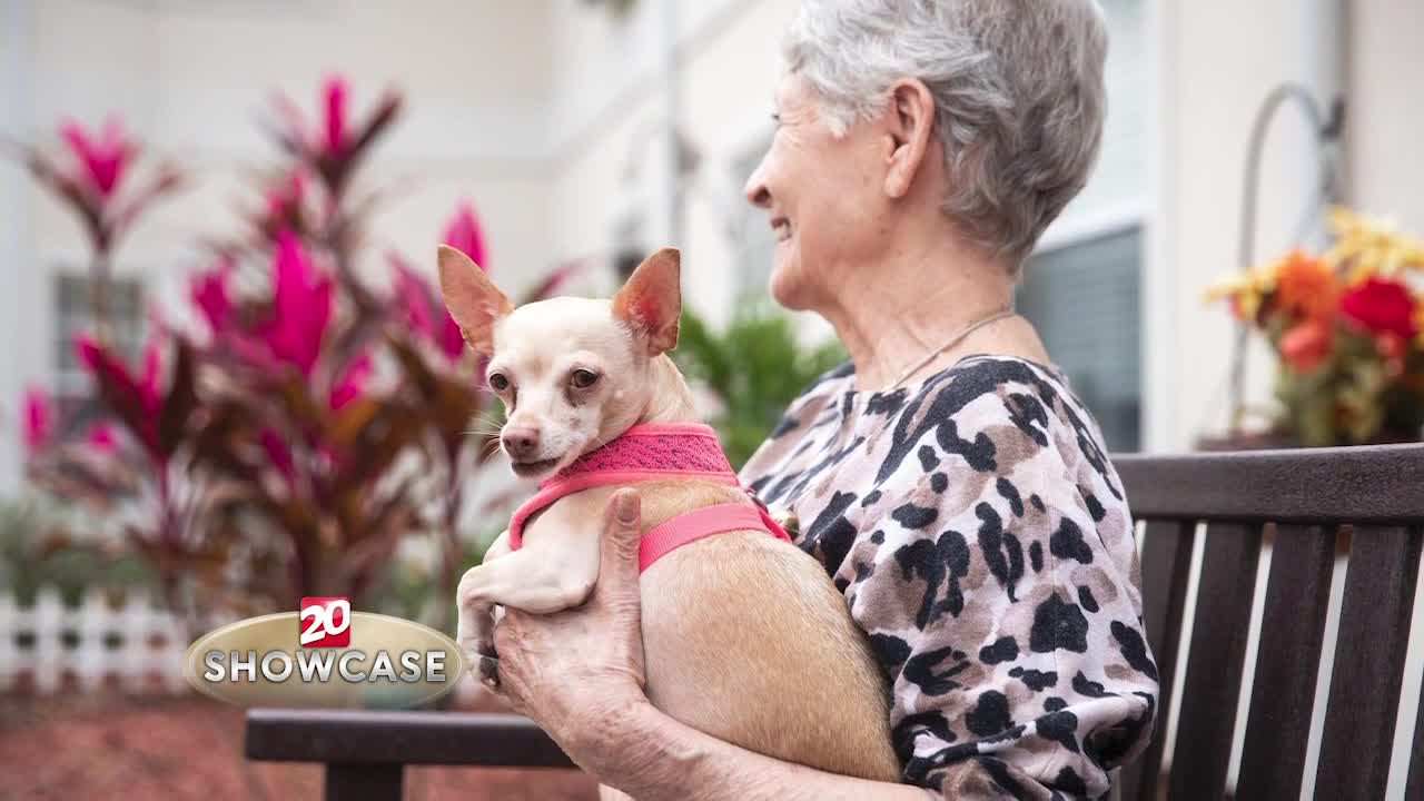 TV20 Showcase: Retirement living information from Brookdale