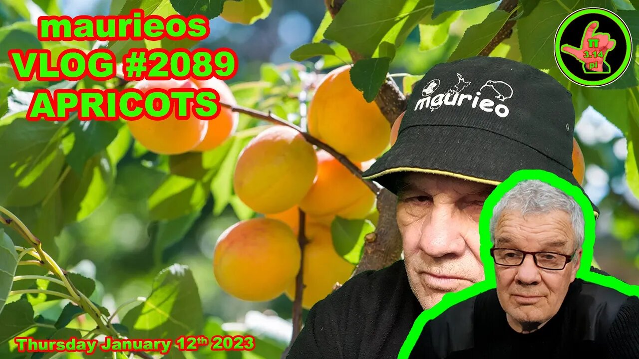 maurieos VLOG #2089 APRICOTS
