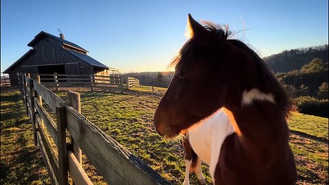 Merry Christmas from the Homestead! (#107)