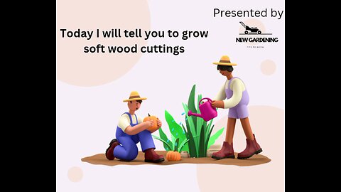 How to grow cuttings