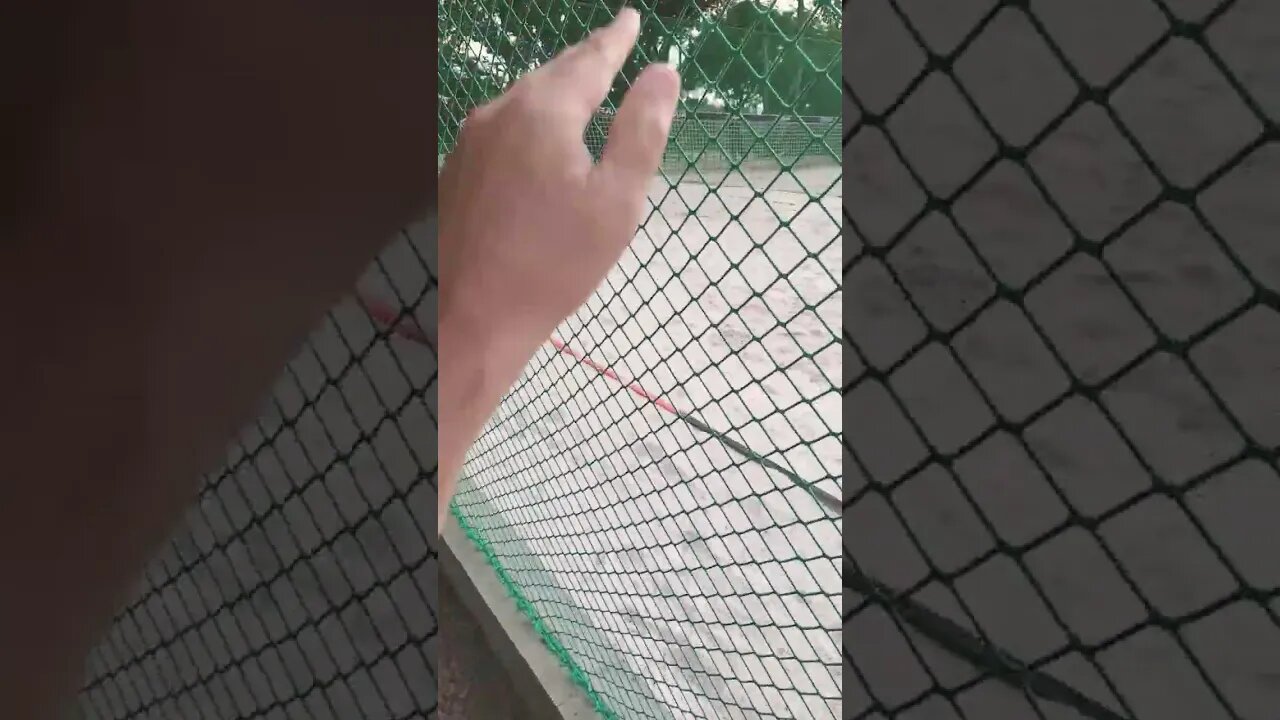 eu não jogo beach tennis por que é um esporte chato pode pegar micose além de covid19