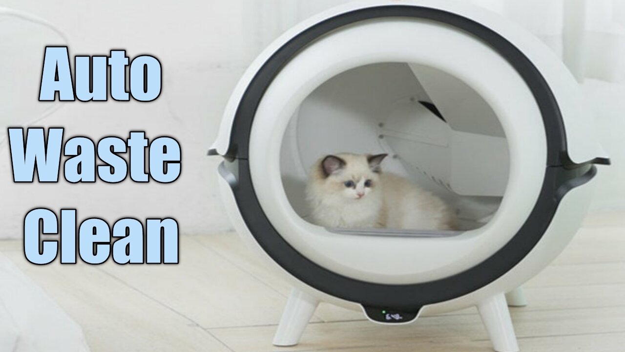 A Cat Box Tech That Automatically Clean your Cat Waste