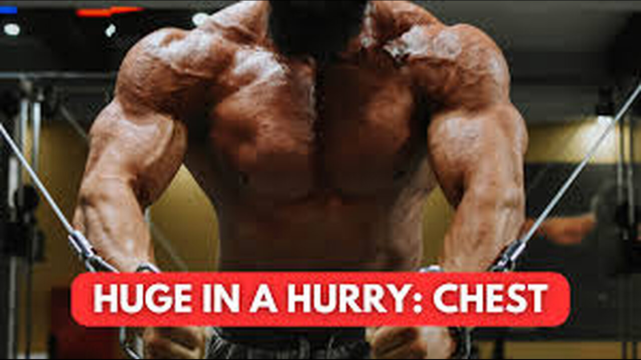 Chest workouts guide 2023🥶😬 #chestworkout #bodybuilding #shorts