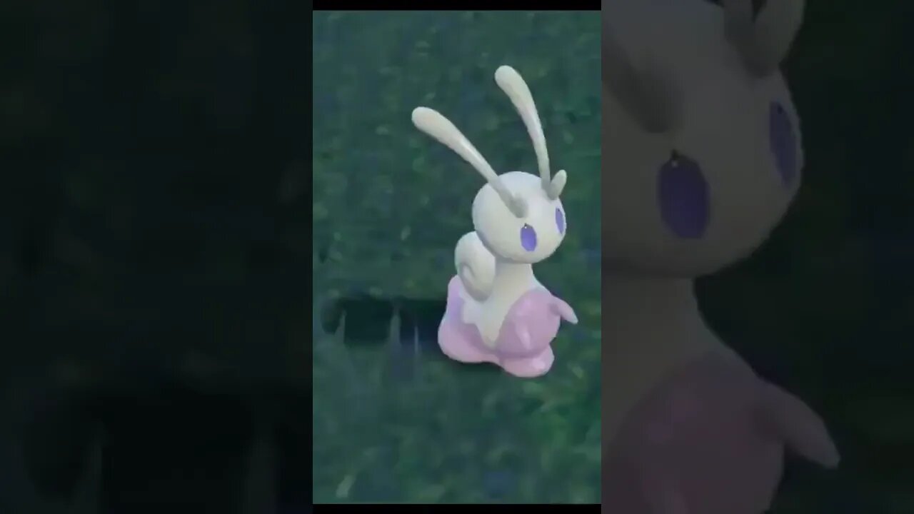 Shiny Sliggoo #pokemon #pokemonscarlet #pokemonviolet #whosthatpokemon