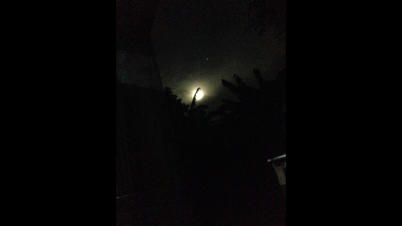 Rapture and Full Moon