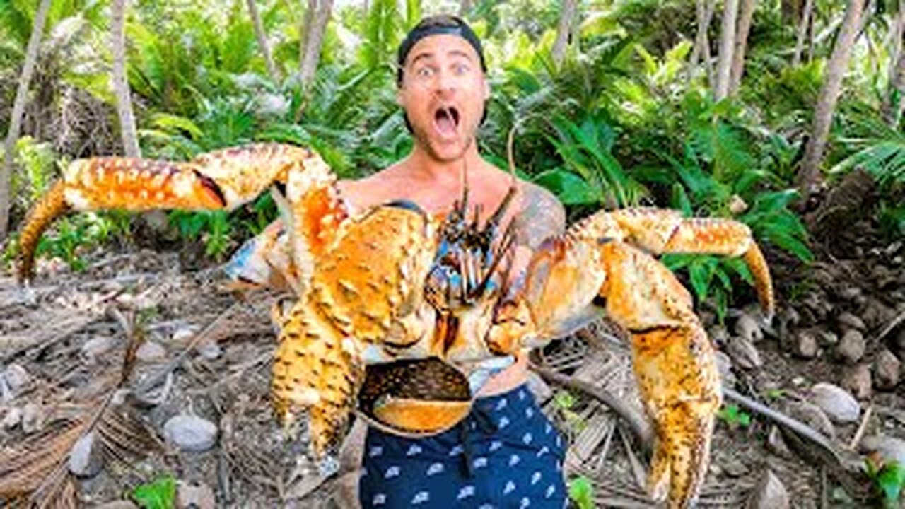 Meet the Giant Coconut Crab: Nature's Largest Land Arthropod !