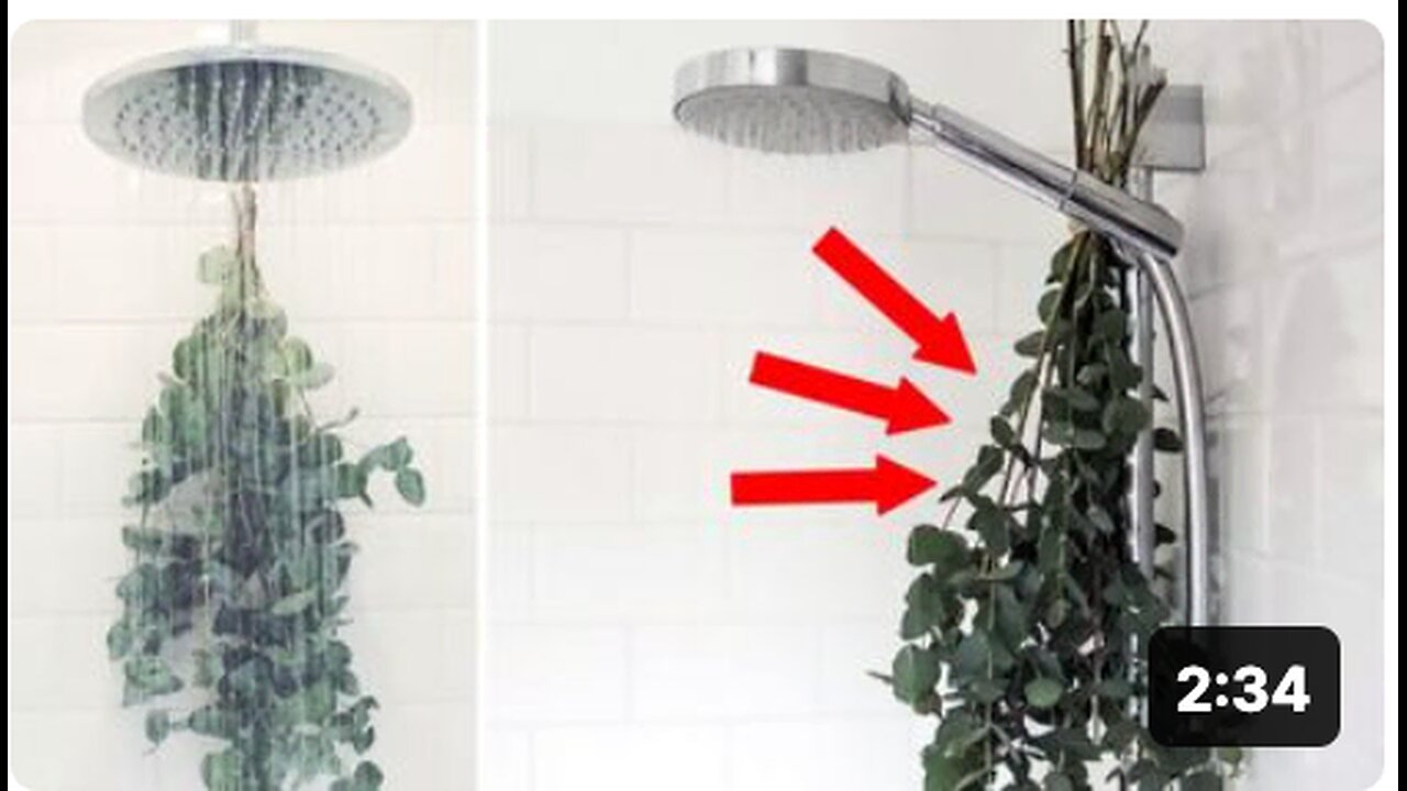 Here's Why You Should Be Hanging Eucalyptus in Your Shower