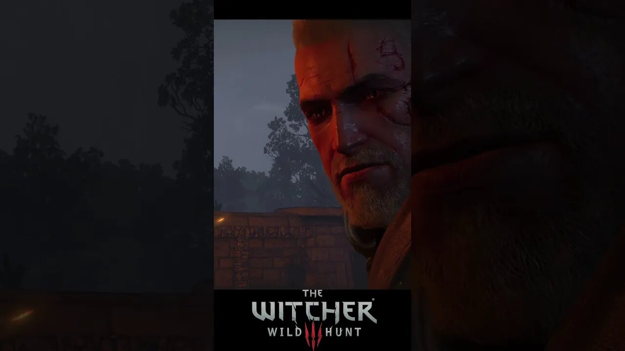 This Is the Craziest Moment In The Witcher 3 #shorts