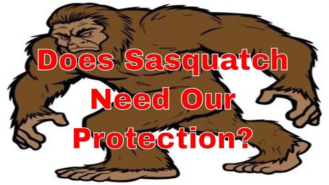 Does Sasquatch Need Our Protection?