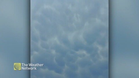 Dark clouds overhead form patterns in the sky