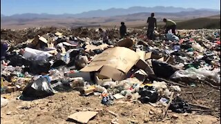 Baboons make most of a filthy situation (t5w)