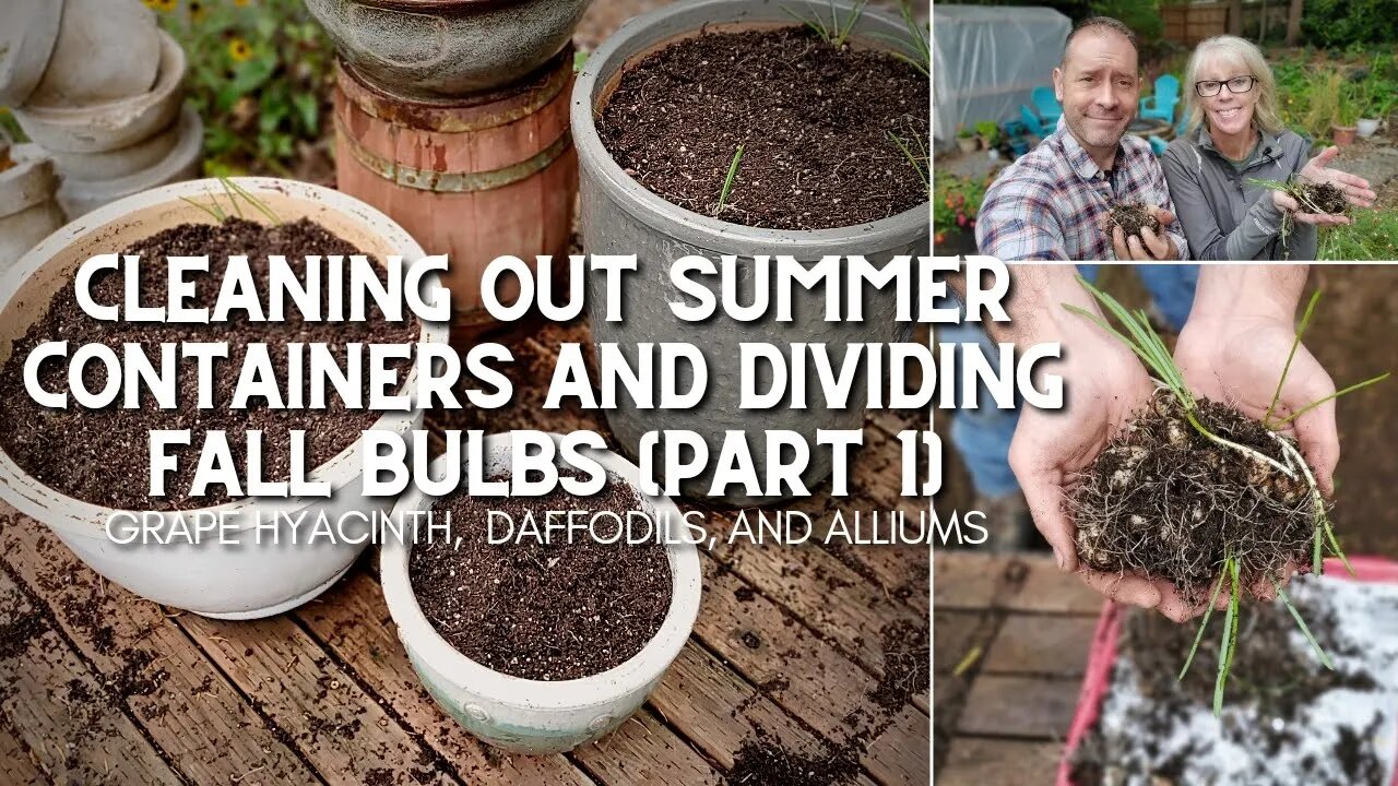 😃 Cleaning Summer Containers and Dividing Bulbs + Book Giveaway 😃
