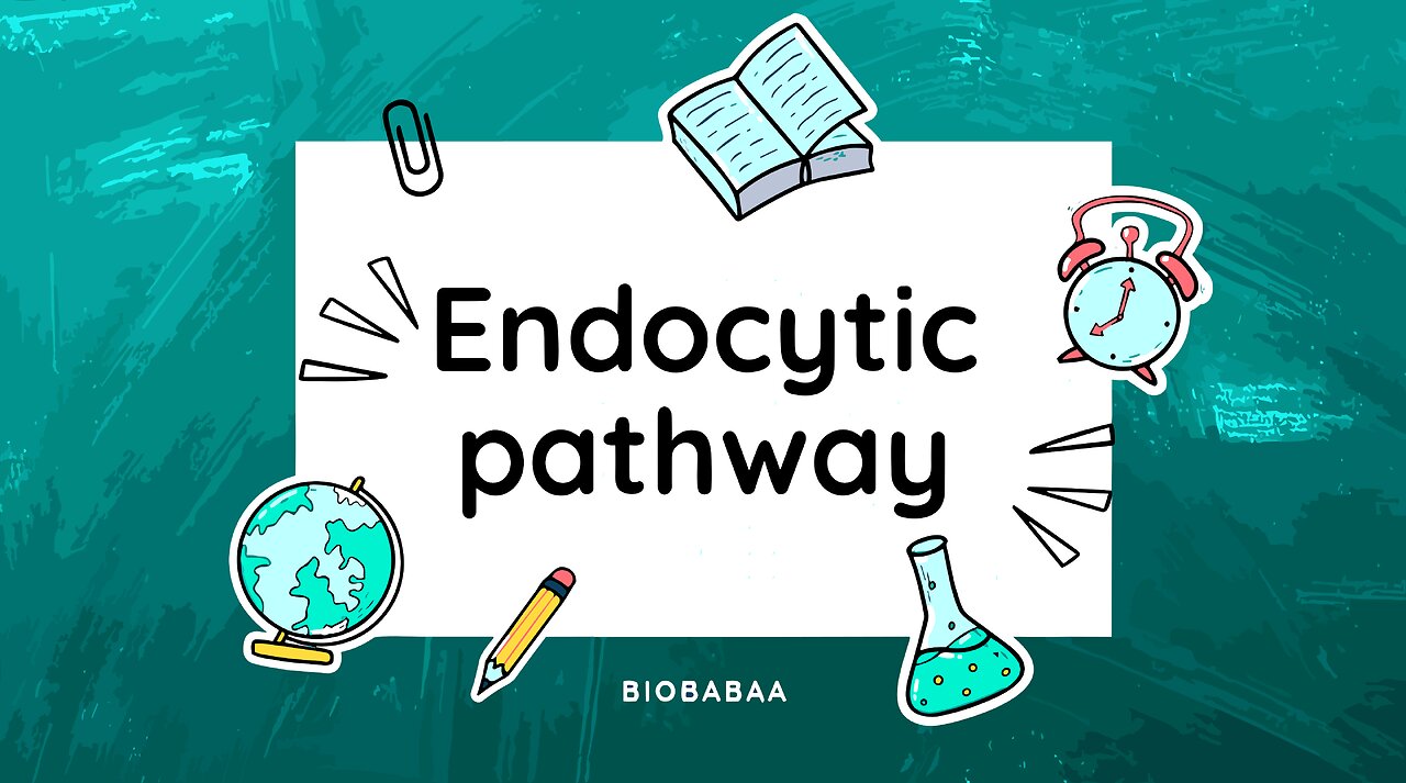 Endocytosis