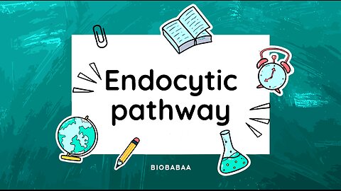 Endocytosis